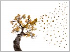 Autunno Autunno