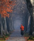 pedalare dentro l'autunno