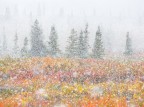 Autunno e Inverno Autunno e Inverno