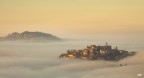 Foggy Island Foggy Island