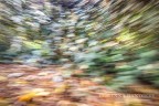 Autunno Autunno