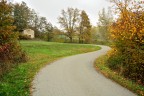 La casa nel bosco La casa nel bosco