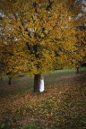 Autunno