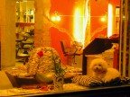 stockholm_beautyshop stockholm_beautyshop