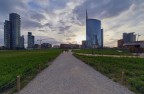 Porta Nuova verso il Tramonto Porta Nuova verso il Tramonto