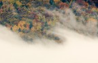 Nebbie d'Autunno Nebbie d'Autunno