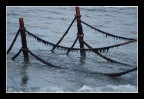 pontile in mare pontile in mare