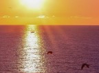 Acqua, fuoco e aria Acqua, fuoco e aria