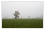 Pomeriggio uggioso