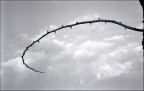 il flagello di Dio ;/) il flagello di Dio ;/)