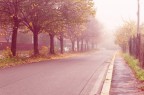 Insolita nebbia autunnale nel cuore della periferia romana Insolita nebbia autunnale nel cuore della periferia romana