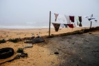 Panni al vento Panni al vento
