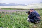 Franco di Pisa in action - by Castelluccio di Norcia