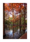 Tanti colori...alle porte dell'inverno Tanti colori...alle porte dell'inverno