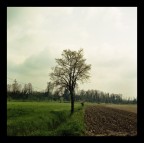 qualche altra primavera da aspettare ancora ;/)