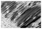 dune dune