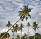 Inclinazioni naturali