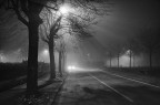 Luci nella nebbia Luci nella nebbia
