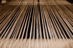 fili fili