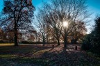 Ingatestone, Essex, December 2016 Ingatestone, Essex, December 2016