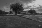 Scuola pubblica. Scuola pubblica.