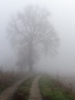 Padania_1 Padania_1