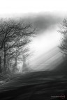 sole-nebbia sole-nebbia
