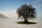 Nei pressi di Falzes (Bz) Nei pressi di Falzes (Bz)
