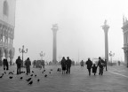 VENEZIA 1979 VENEZIA 1979