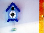 blu_ blu_