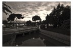 palma palma