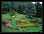 Giardino fiorito (Garfagnana)! Giardino fiorito (Garfagnana)!