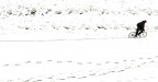 La lunga striscia bianca La lunga striscia bianca