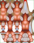 La RIVISTA : inizia lo spettacolo La RIVISTA : inizia lo spettacolo
