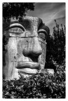 BigFacE BigFacE