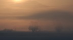 Alba tra nebbie e colli Alba tra nebbie e colli