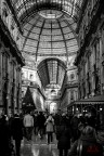 Gallery Gallery
