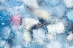 Texture Texture