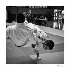 IPPON IPPON