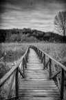 Il Ponte Il Ponte