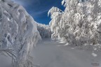 speriamo nevichi speriamo nevichi