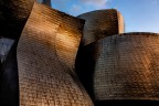 Guggenheim Museum - Bilbao