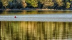 Punto di rosso Punto di rosso