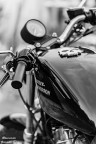Una passione! Una passione!