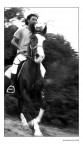 horse panning horse panning