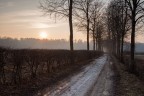 Pathway Pathway