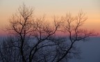 Ricami alla luce dell'alba Ricami alla luce dell'alba