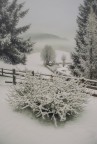 dopo la nevicata dopo la nevicata