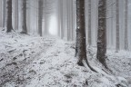 Winter's magic Winter's magic