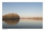 18_17 18_17